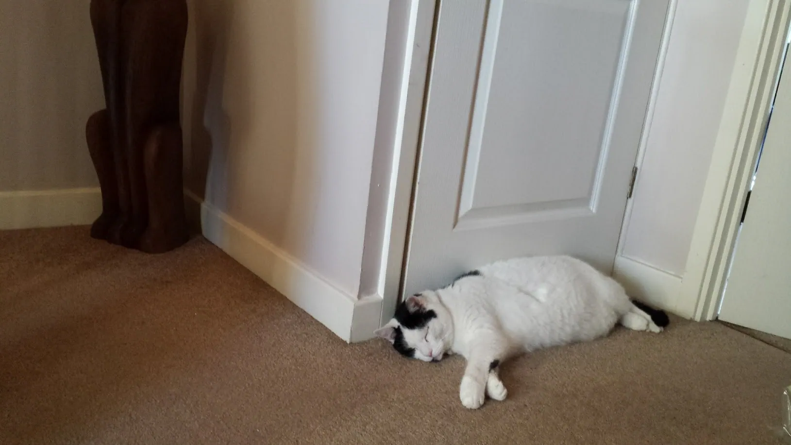 J14 marshall contented   14 oct 2017 (2)